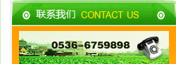 聯(lián)系我們